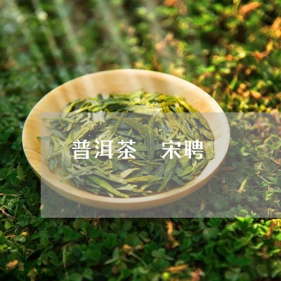 普洱茶 宋聘/2023042824128